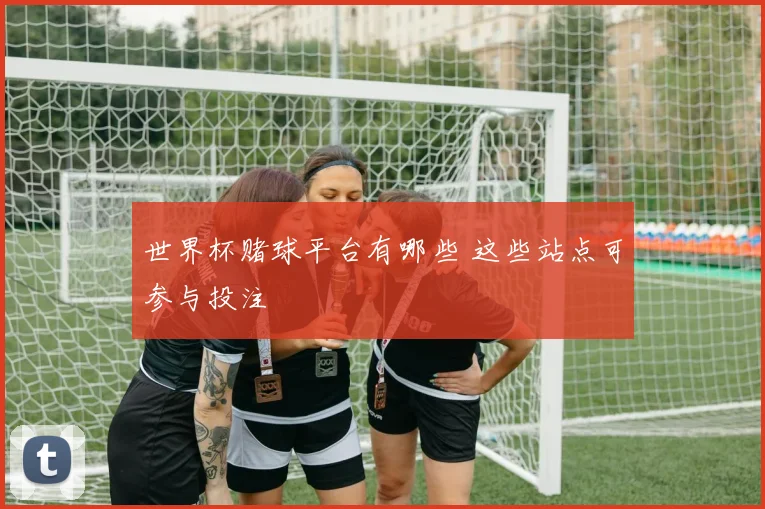 世界杯赌球平台有哪些 这些站点可参与投注