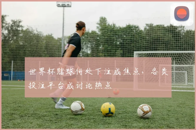 世界杯赌球何处下注成焦点,各类投注平台成讨论热点