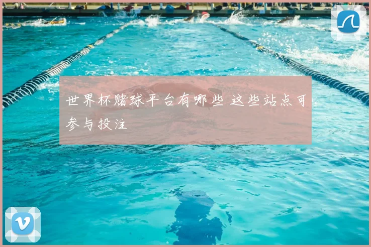 世界杯赌球平台有哪些 这些站点可参与投注