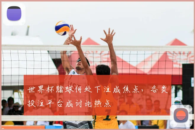 世界杯赌球何处下注成焦点，各类投注平台成讨论热点