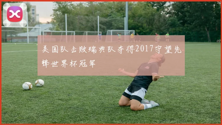 美国队击败瑞典队夺得2017守望先锋世界杯冠军