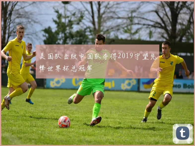 美国队击败中国队夺得2019守望先锋世界杯总冠军