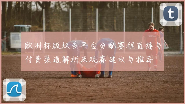 欧洲杯版权多平台分配赛程直播与付费渠道解析及观赛建议与推荐