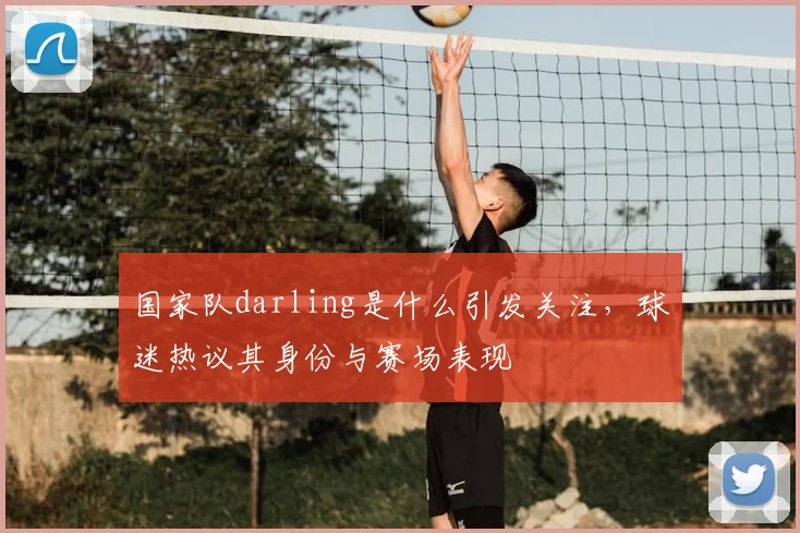 国家队darling是什么引发关注,球迷热议其身份与赛场表现