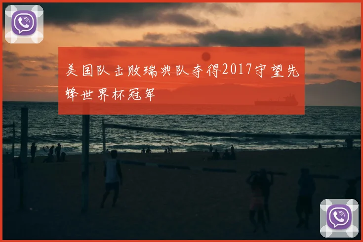 美国队击败瑞典队夺得2017守望先锋世界杯冠军